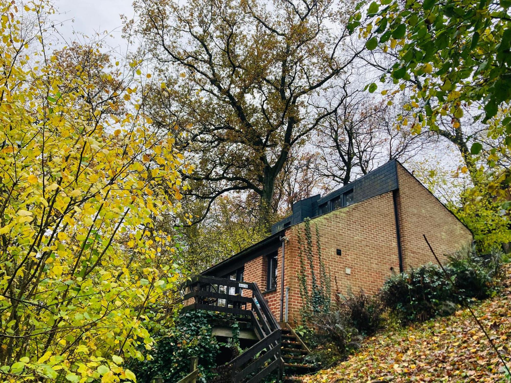 Woody Lodge - Duplex Nature Bonsoy Ardennes Hastiere-par-dela Ngoại thất bức ảnh